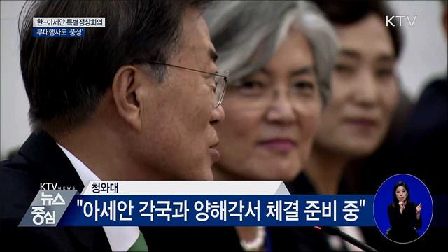 한-아세안 특별정상회의 부대행사도 '풍성'
