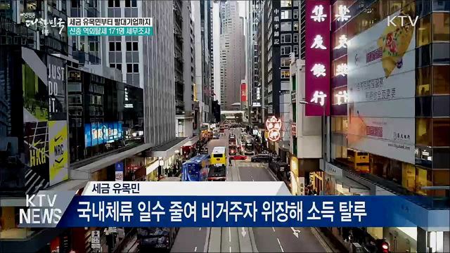'세금 유목민·빨대기업'···신종 역외탈세 세무조사