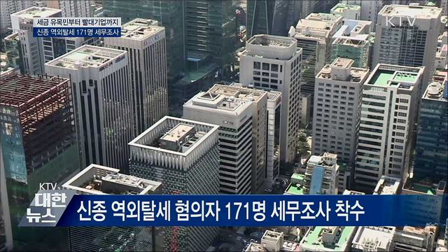 '세금 유목민·빨대기업'···신종 역외탈세 세무조사