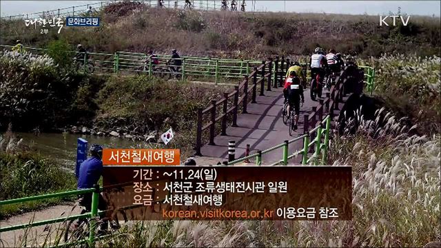 문화브리핑 (19. 11. 22. 16시)