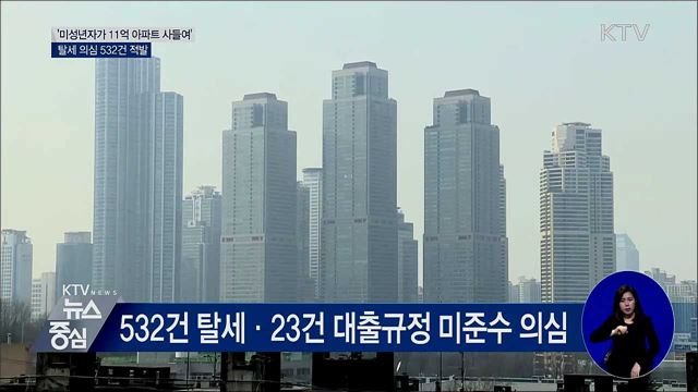 '미성년자가 11억 아파트 사들여'···탈세 의심 532건 적발