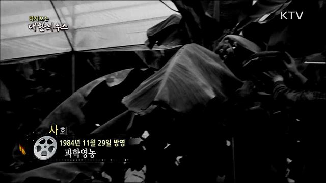 다시보는 대한늬우스 (84. 11. 29)