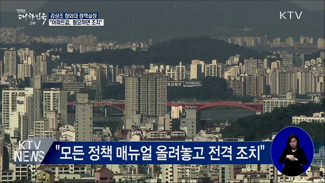"서울 아파트값, 필요하면 전격적 조치"