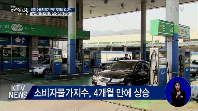 11월 소비자물가 전년 동월 대비 0.2%↑