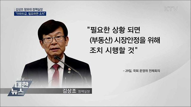 "서울 아파트값, 필요하면 전격적 조치"