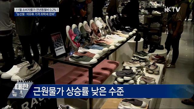 11월 소비자물가 전년 동월 대비 0.2%↑