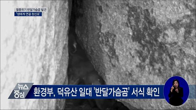 덕유산 일대서 반달가슴곰 서식···"생태계 연결 청신호"
