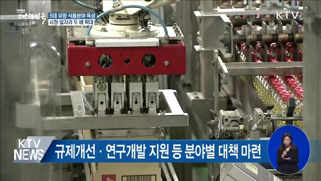 맞춤형·특수식품 등 5대 식품분야 집중 육성