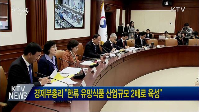 경제부총리 "한류 유망식품 산업규모 2배로 육성"