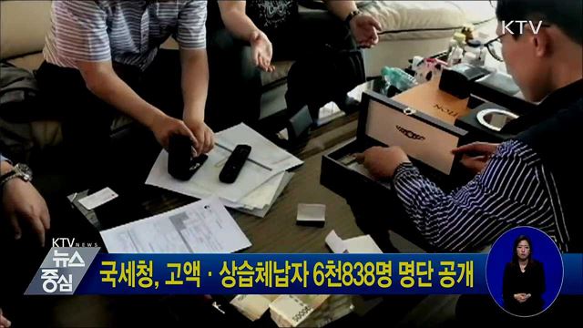 국세청, 고액·상습체납자 6천838명 명단 공개