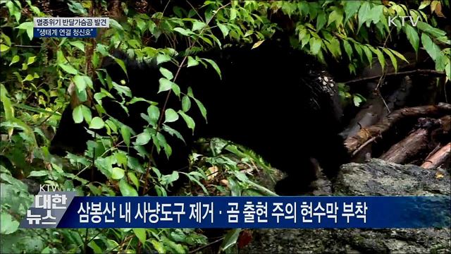 덕유산 일대서 반달가슴곰 서식···"생태계 연결 청신호"
