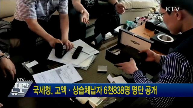 국세청, 고액·상습체납자 6천838명 명단 공개