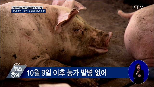 아프리카돼지열병 등 가축전염병 방역 강화
