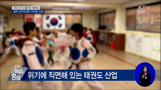 도덕성 겸비 '대사범' 지정···태권도 활성화 추진