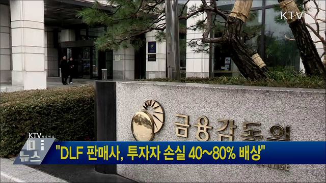 "DLF 판매사, 투자자 손실 40~80% 배상"