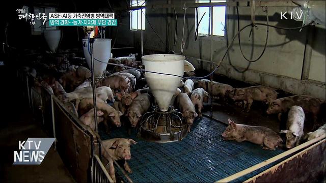 아프리카돼지열병 등 가축전염병 방역 강화
