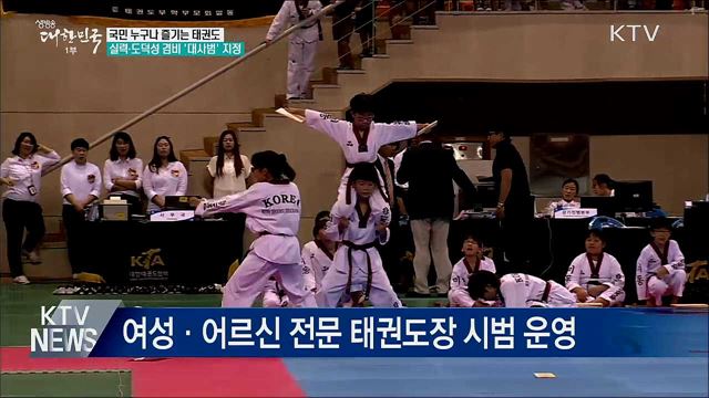 도덕성 겸비 '대사범' 지정···태권도 활성화 추진