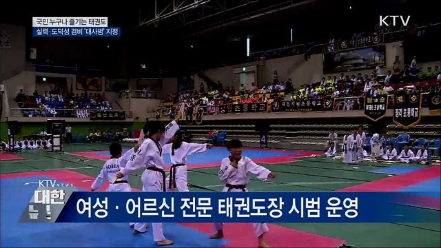 도덕성 겸비 '대사범' 지정···태권도 활성화 추진