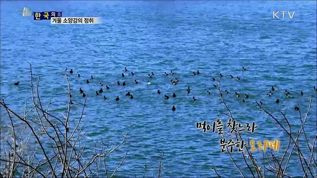 겨울 소양강의 정취 [한국의 美]