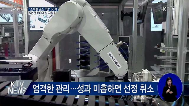 '소부장 강소기업' 55개 선정···180억 지원