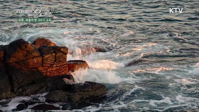 15회 하이라이트 미리보기 - 포항, 바람의 맛 그리고 소리