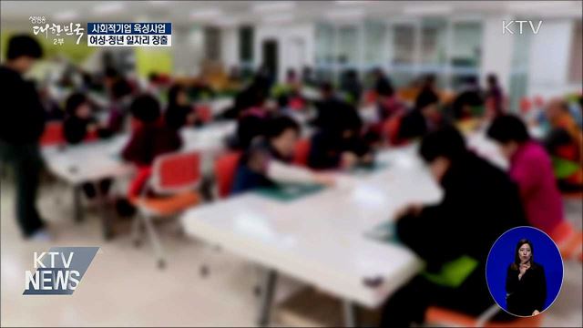 사회적기업 육성사업, 여성·청년 일자리 창출