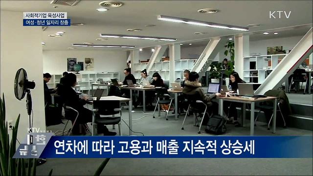 사회적기업 육성사업, 여성·청년 일자리 창출
