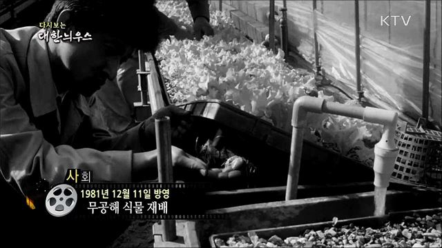 다시보는 대한늬우스 (81. 12. 11)