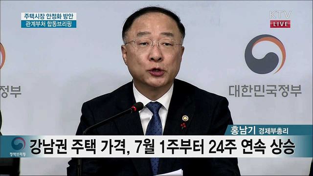 주택시장 안정화 방안 관계부처 합동브리핑