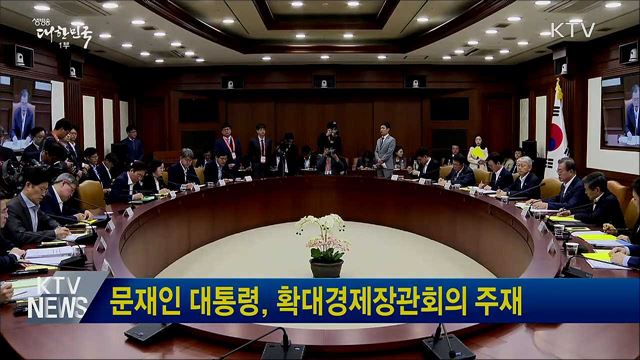 문재인 대통령, 확대경제장관회의 주재