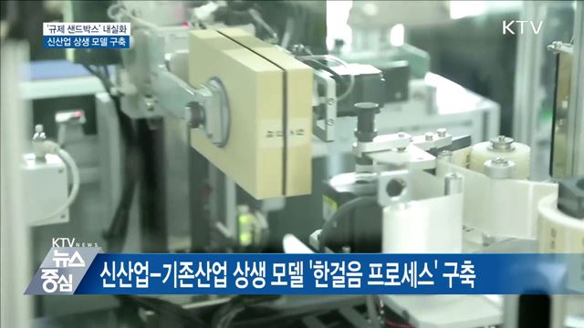 '규제 샌드박스' 내실화···신산업 상생 모델 구축