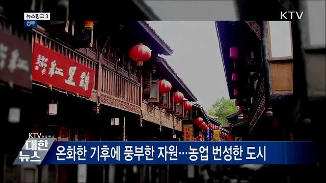 청두 [뉴스링크]