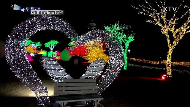 차밭 수놓은 '빛의 향연'···관광객 줄이어