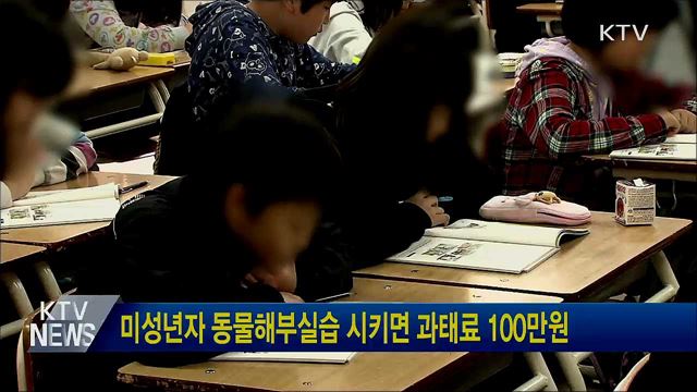 미성년자 동물해부실습 시키면 과태료 100만원