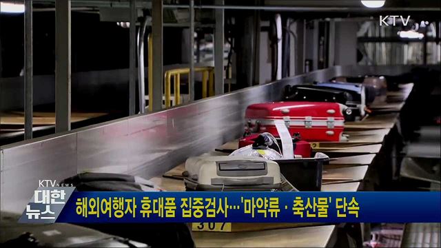 해외여행자 휴대품 집중검사···'마약류·축산물' 단속