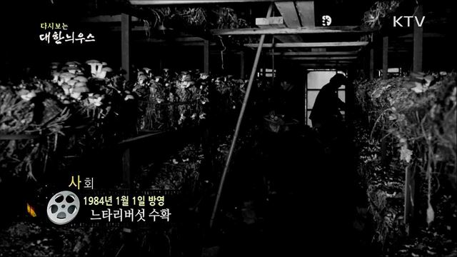 다시보는 대한늬우스 (84. 1. 1)