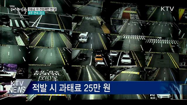 5등급 차 진입제한 한 달···1/3로 줄어
