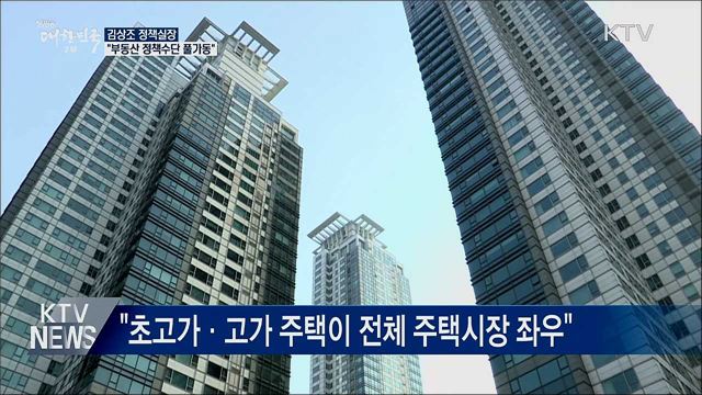 김상조 실장 "부동산, 정책수단 풀가동"