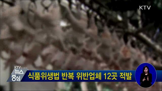 식품위생법 반복 위반업체 12곳 적발