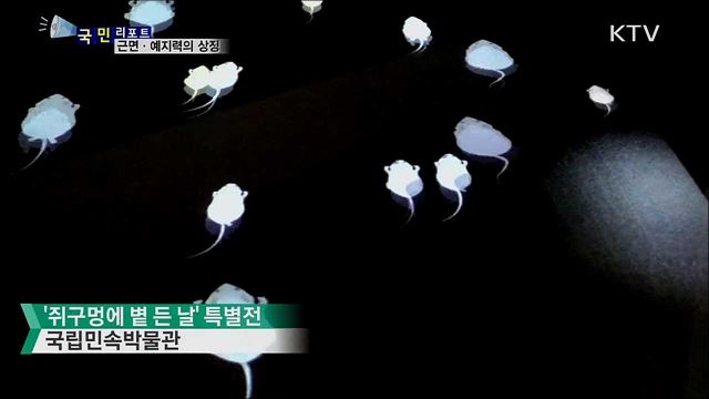 2020년 흰쥐의 해···'근면·예지력' 상징  