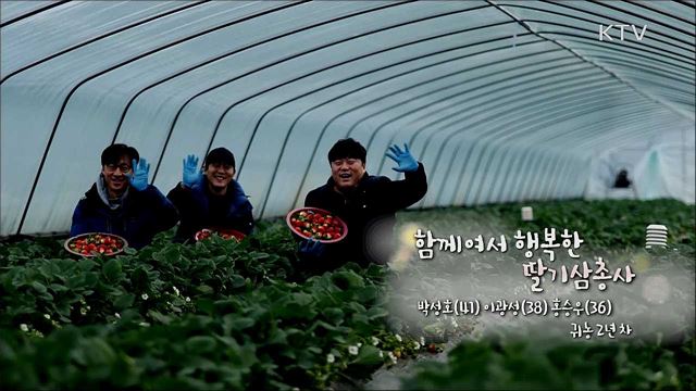 함께여서 행복한 딸기 삼총사