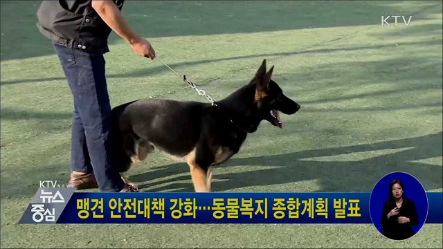 맹견 안전대책 강화···동물복지 종합계획 발표