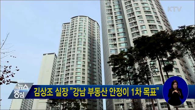 김상조 실장 "강남 부동산 안정이 1차 목표"
