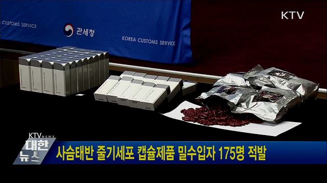 사슴태반 줄기세포 캡슐제품 밀수입자 175명 적발