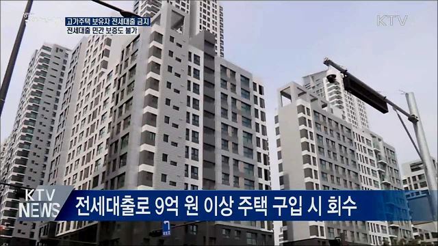 9억 원 넘는 주택 보유자 전세대출 금지