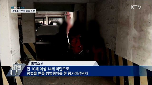 촉법소년 연령 하향···학교폭력 예방계획 발표