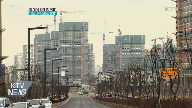 "강남 안정이 1차 목표···공급대책 조만간 발표"