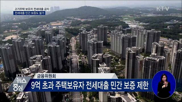 9억 원 넘는 주택 보유자 전세대출 금지