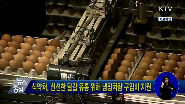 식약처, 신선한 달걀 유통 위해 냉장차량 구입비 지원