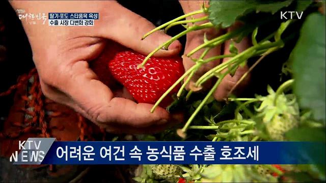 수출효자 '딸기·포도' 집중 육성···수출 시장 다변화